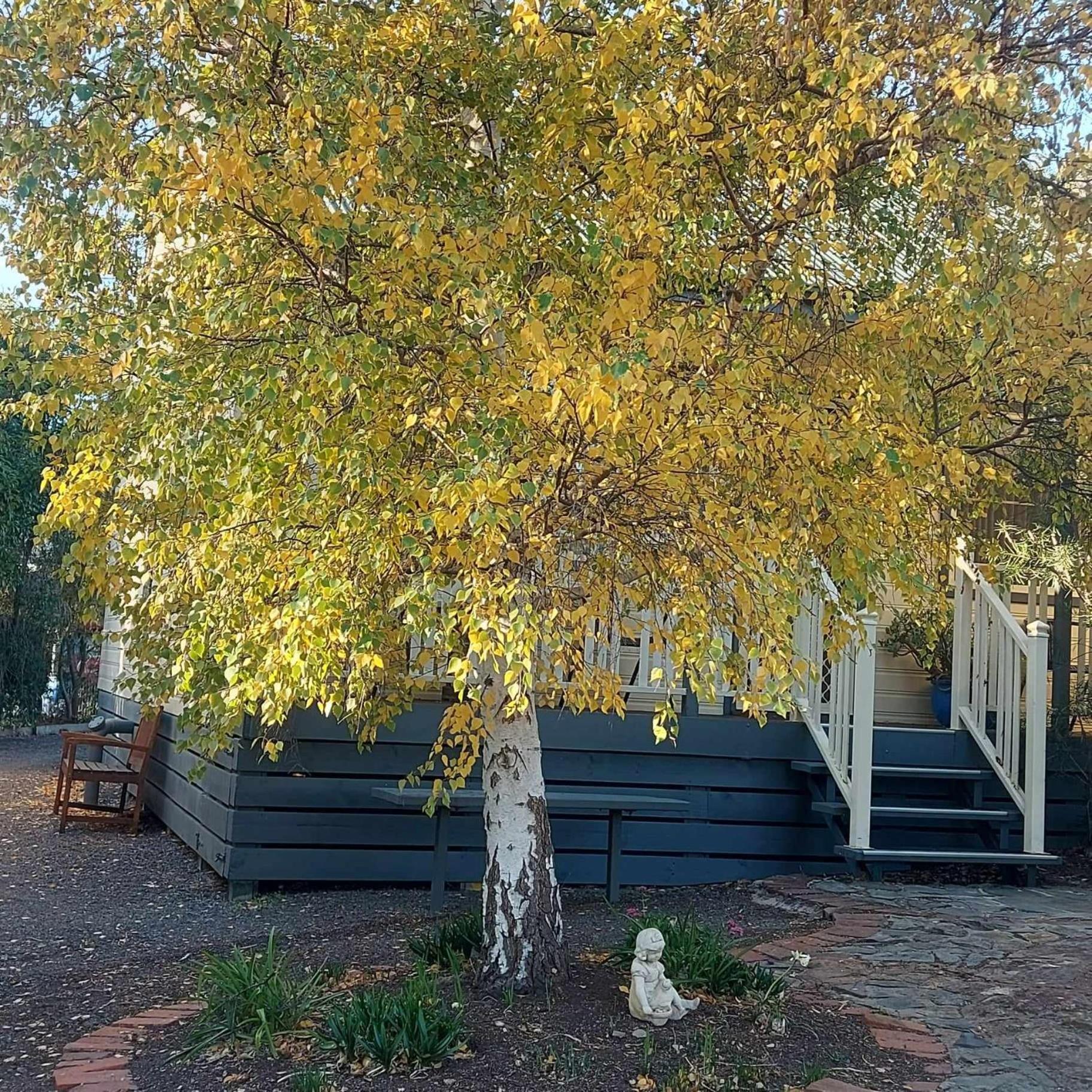 Avoca Cottages Victoria Exteriér fotografie
